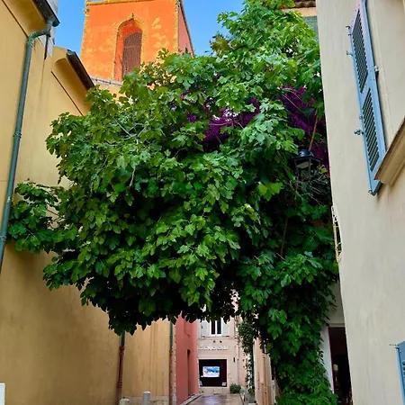 Le Figuier Du Clocher - Coeur Du Vieux Village Appartement Saint-Tropez