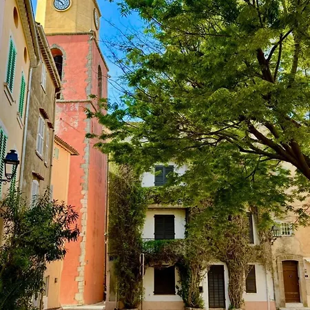 Appartement Le Figuier Du Clocher - Coeur Du Vieux Village *